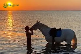 Horseback riding with swimming in the sea